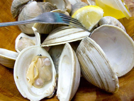 Local clam steamers, served at Tarks restaurant in Dania Beach, Florida
