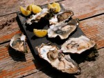 Northern California oysters from Tomales Bay 